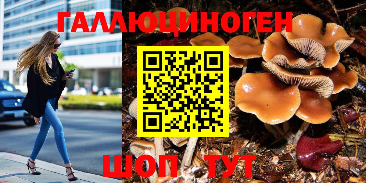 Зима  Галлюциногенные грибы Psilocybine cubensis  Вход с VPN 